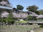 3.24ブログ掲載用1.jpg
