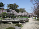 3.24ブログ掲載用3.jpg