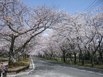 3.24ブログ掲載用5.jpg